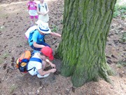 Celodenní výlet na Zámek Loučeň